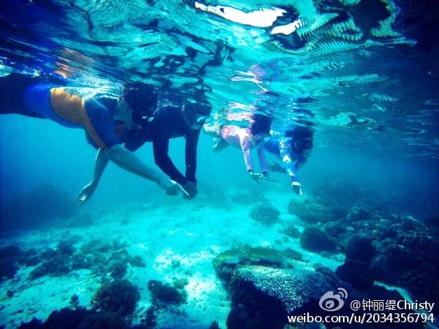 不请自来的客人